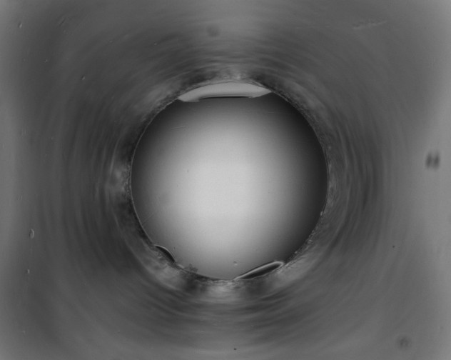 X0000101480096200807141425