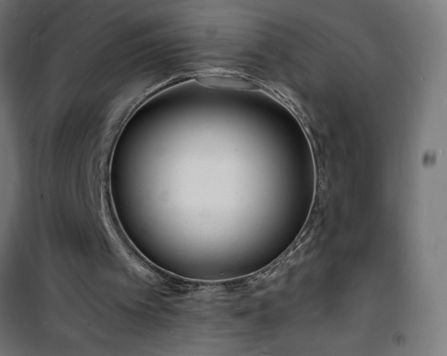 X0000101480097200807141425