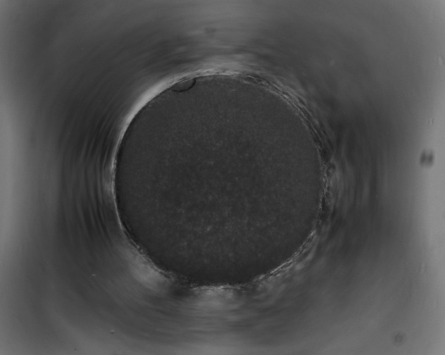 X0000101480100200807141425