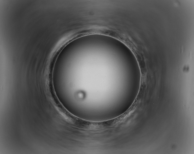 X0000101480101200807141425