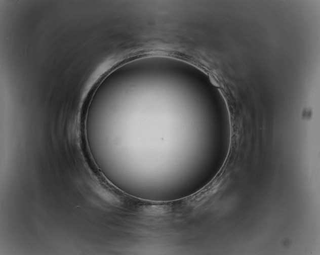 X0000101480102200807141425