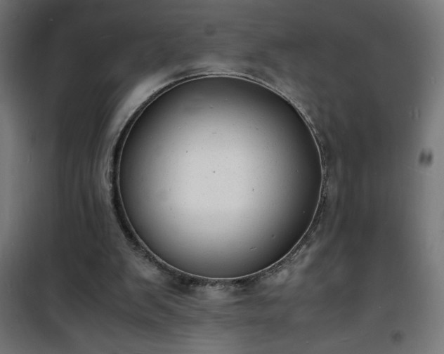 X0000101480103200807141425