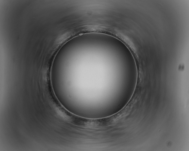 X0000101480105200807141425