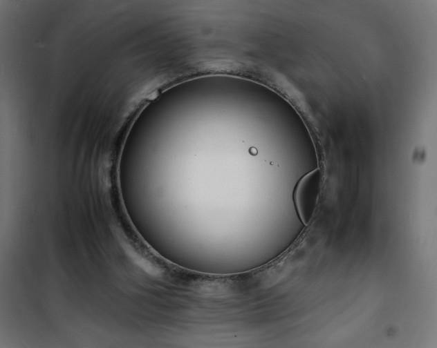 X0000101480106200807141425