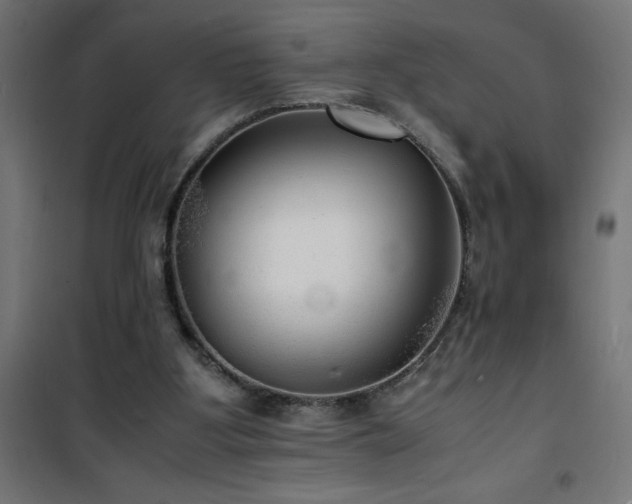 X0000101480107200807141425