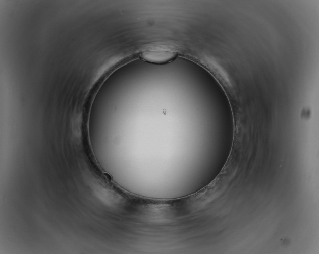 X0000101480108200807141425