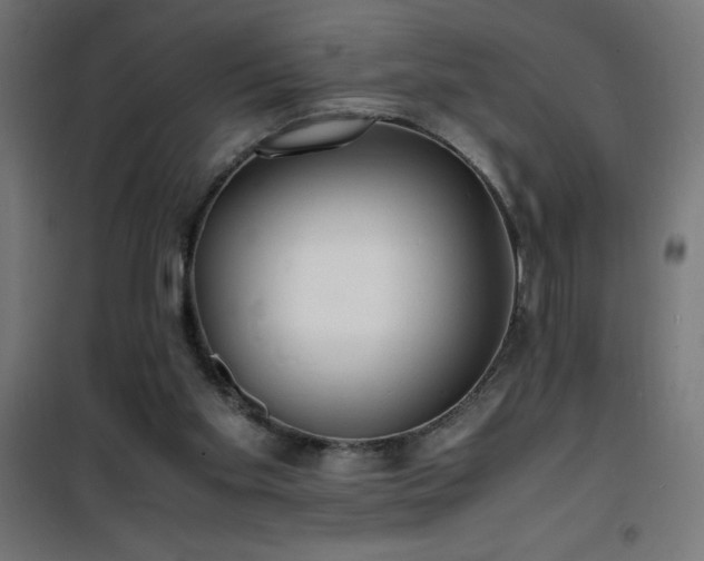 X0000101480109200807141425