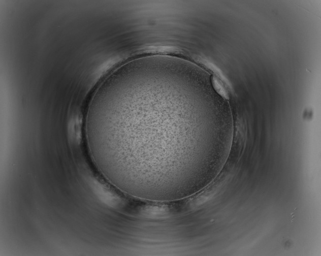 X0000101480110200807141425