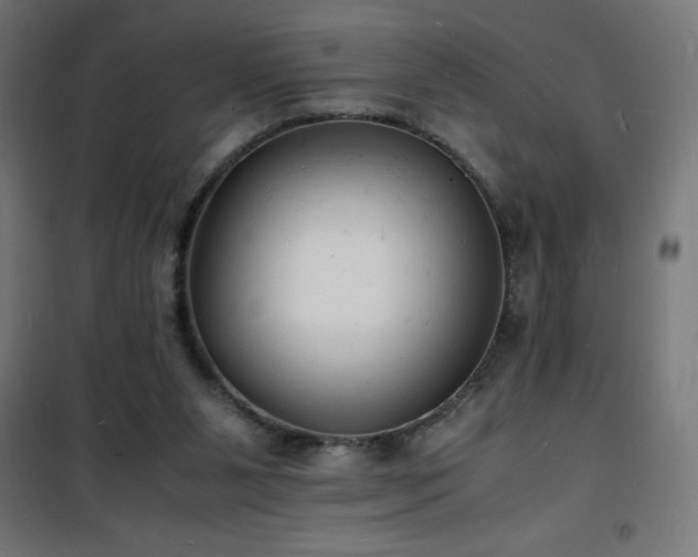 X0000101480111200807141425