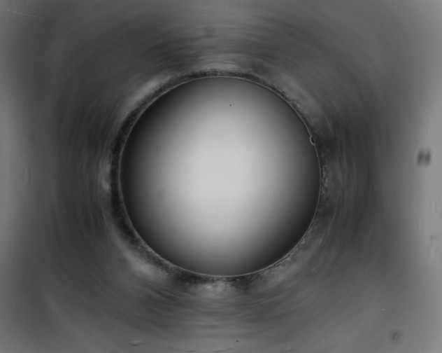 X0000101480112200807141424