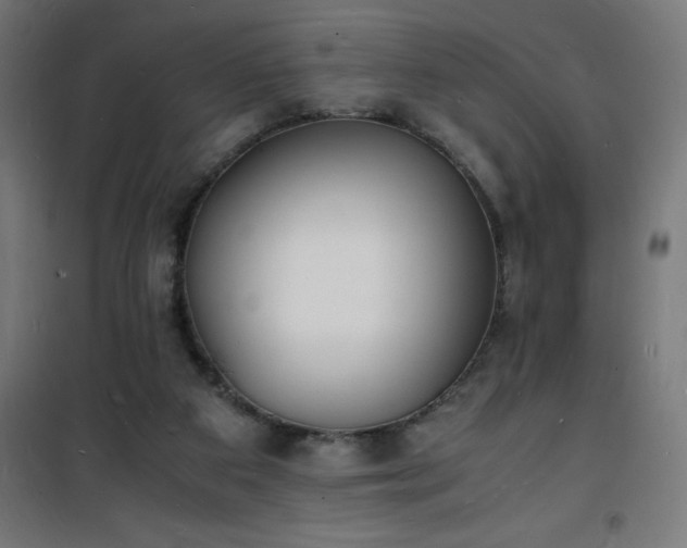 X0000101480113200807141424