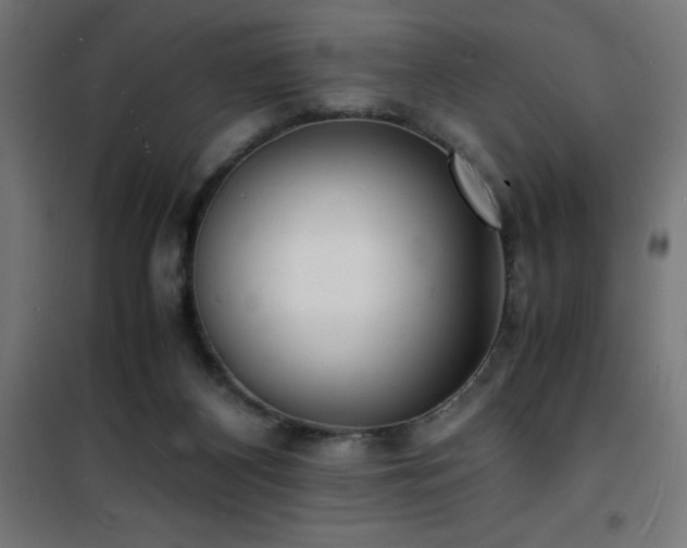 X0000101480116200807141424