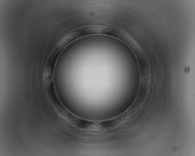 X0000101480119200807141424