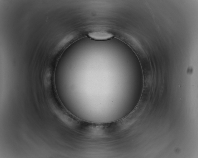 X0000101480120200807141424