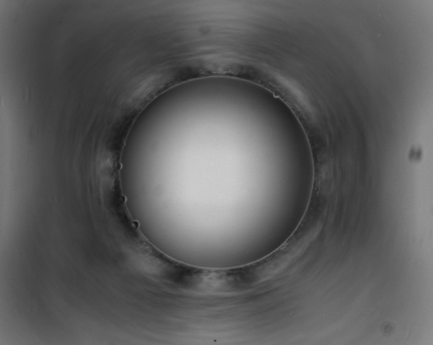 X0000101480121200807141424