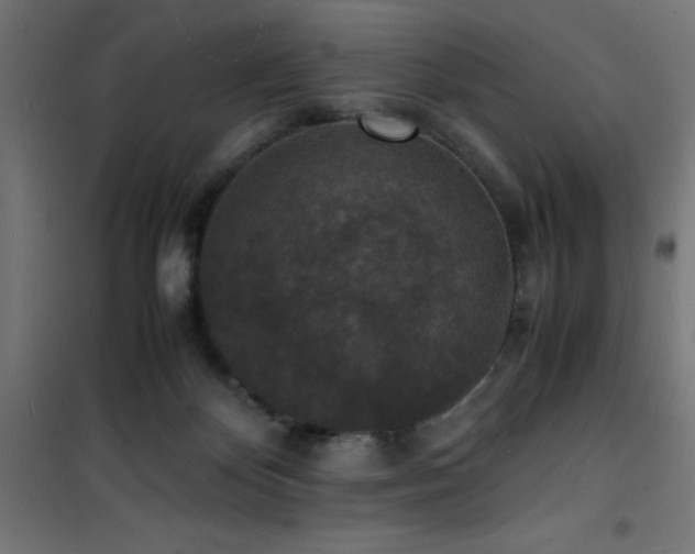 X0000101480124200807141424