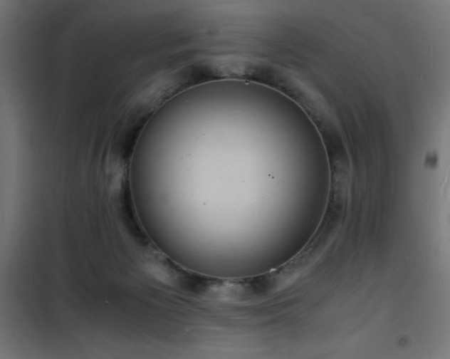 X0000101480125200807141424