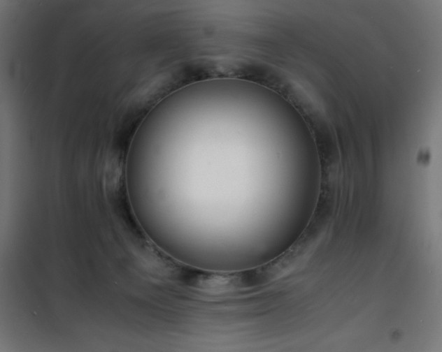 X0000101480129200807141424