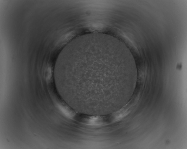 X0000101480130200807141424