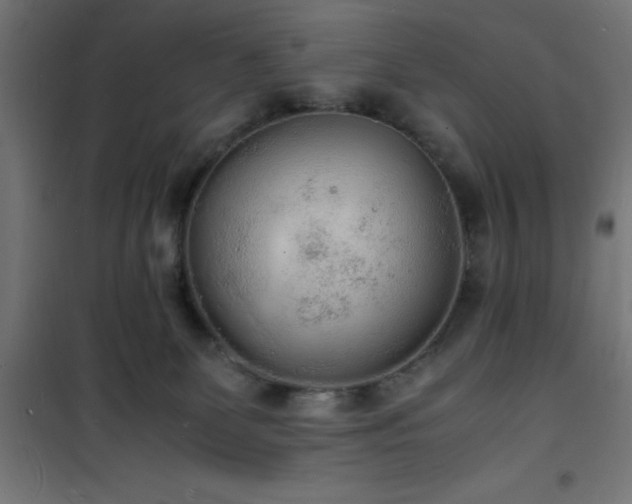 X0000101480131200807141424