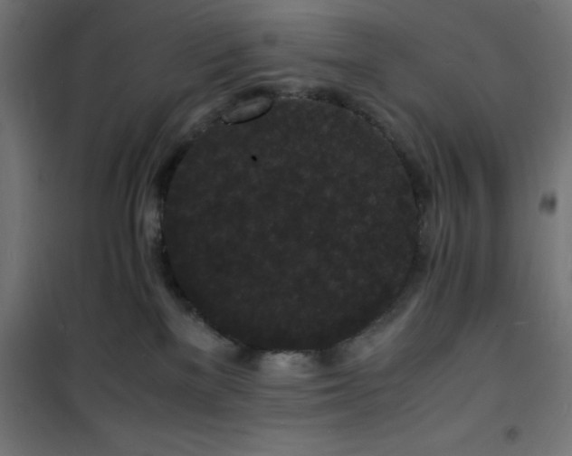 X0000101480137200807141424