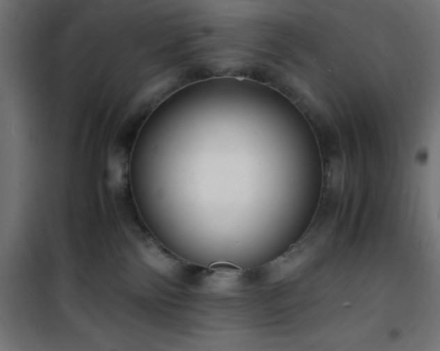 X0000101480138200807141424