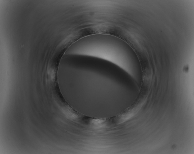 X0000101480139200807141424