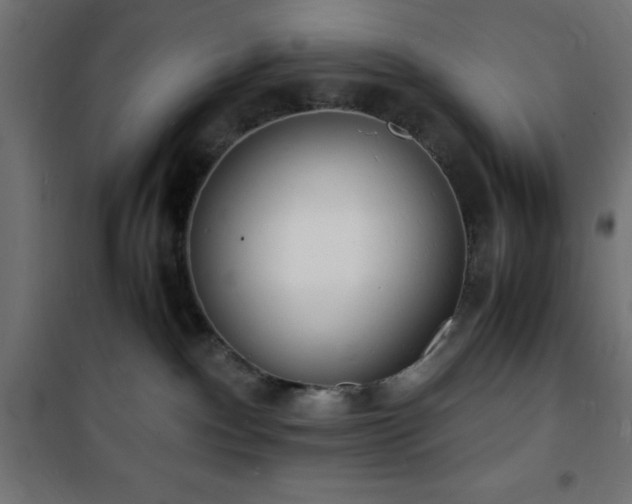 X0000101480140200807141424