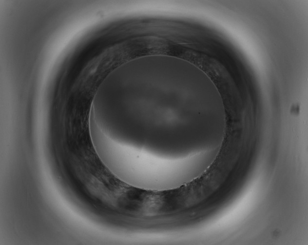 X0000101480143200807141424