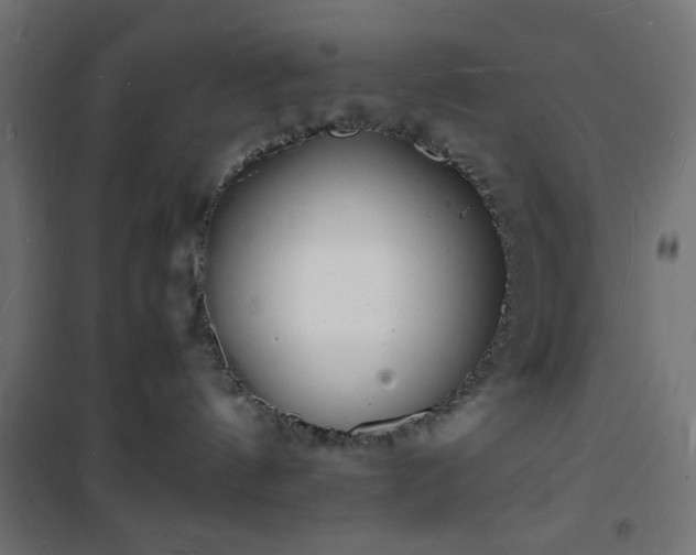 X0000101480144200807141424