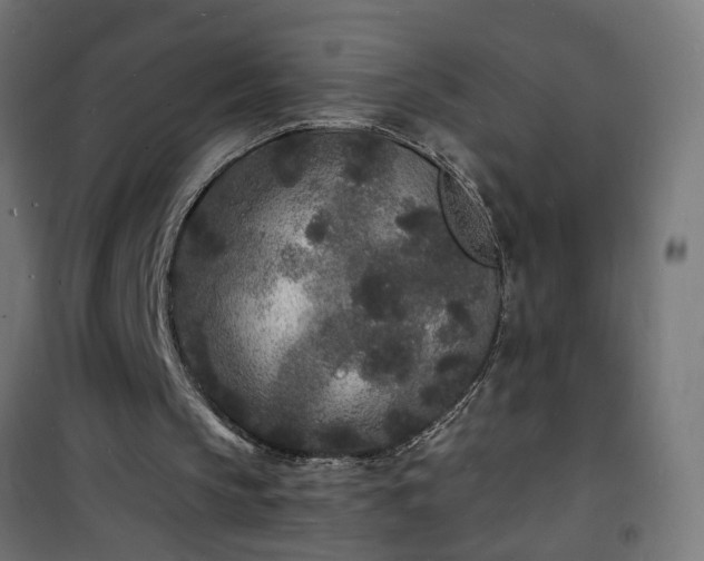 X0000101480145200807141423