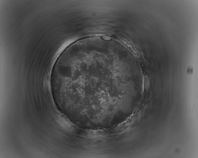 X0000101480147200807141423