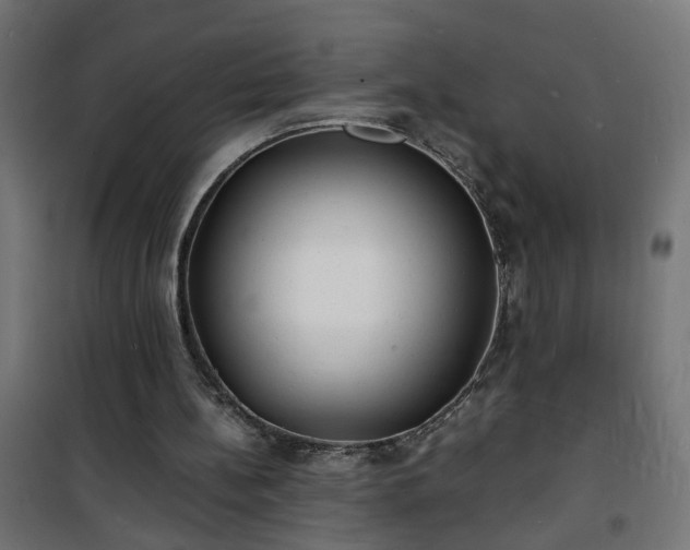 X0000101480148200807141423