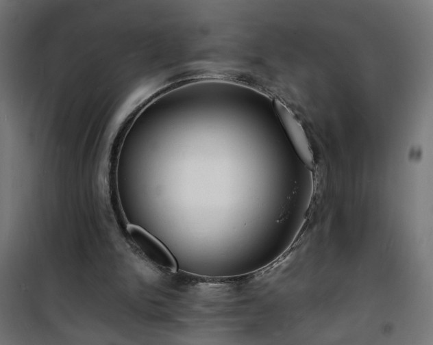 X0000101480150200807141423