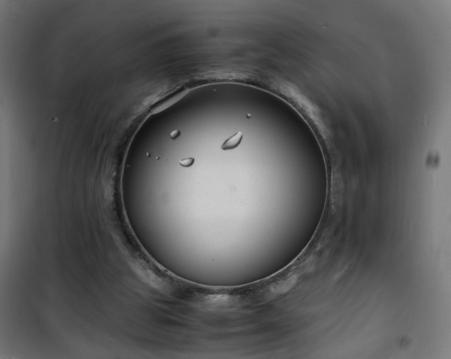 X0000101480153200807141423