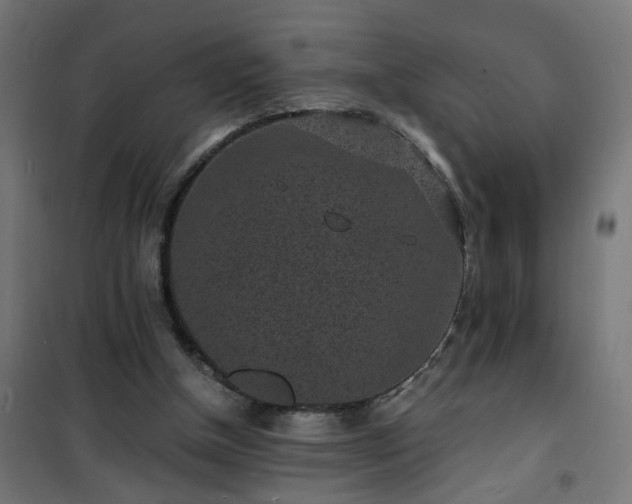 X0000101480154200807141423