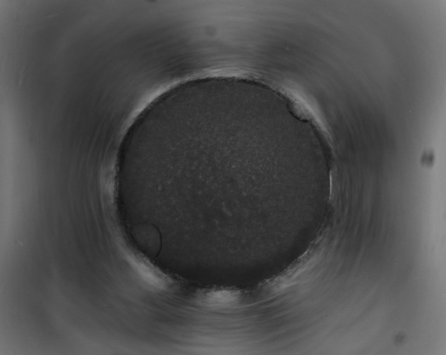 X0000101480156200807141423