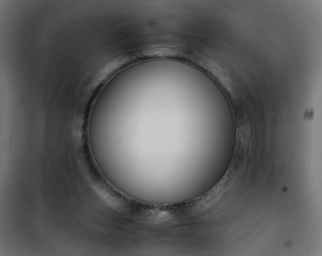 X0000101480159200807141423