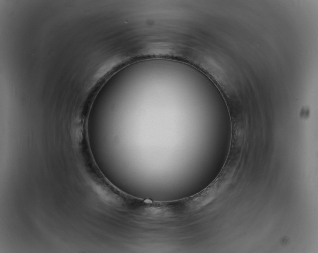 X0000101480160200807141423