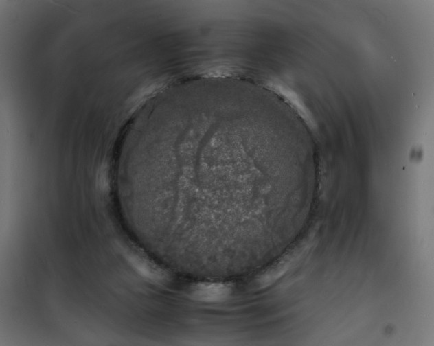 X0000101480161200807141423