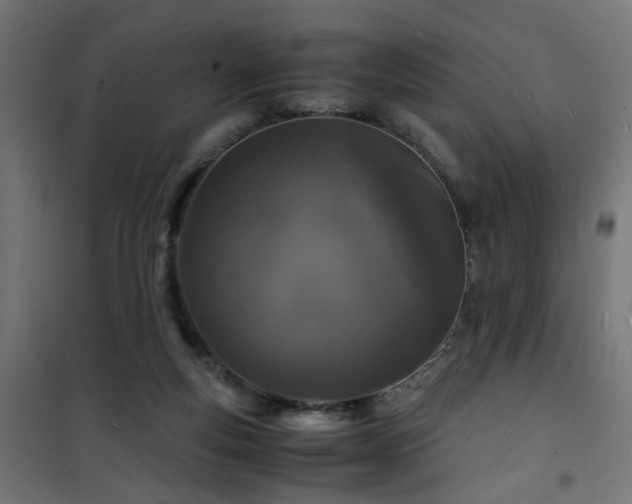 X0000101480163200807141423