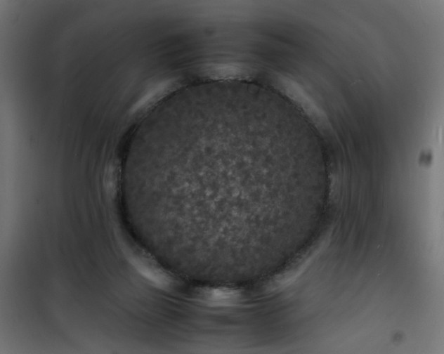 X0000101480165200807141423