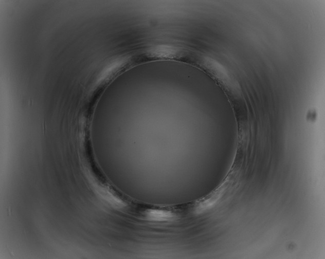 X0000101480167200807141423