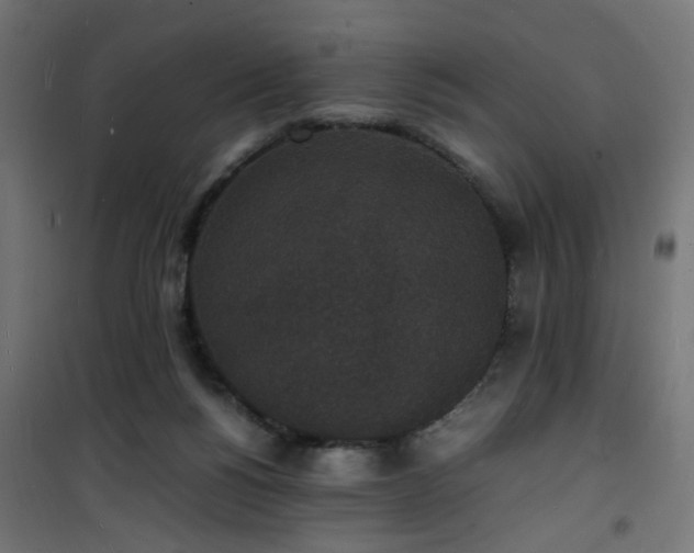 X0000101480168200807141423