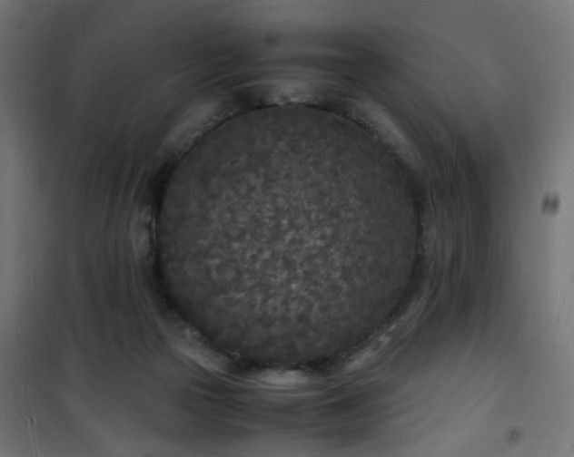 X0000101480169200807141423