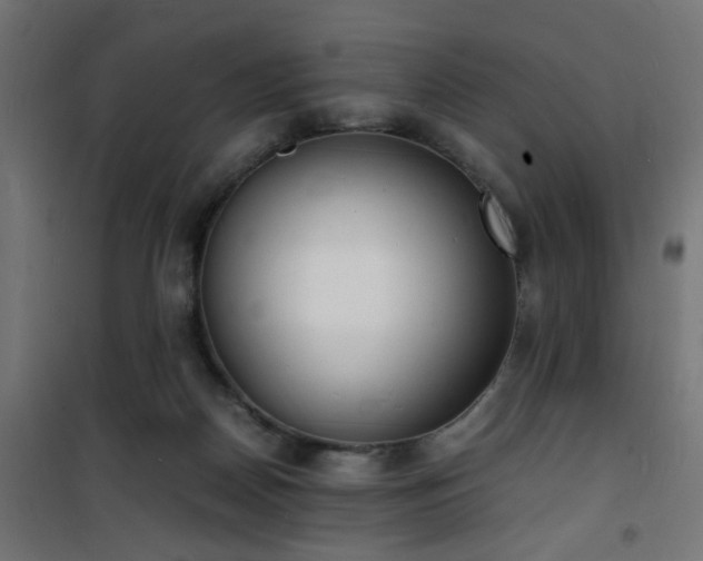 X0000101480170200807141423