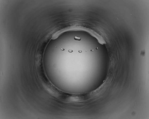 X0000101480171200807141423