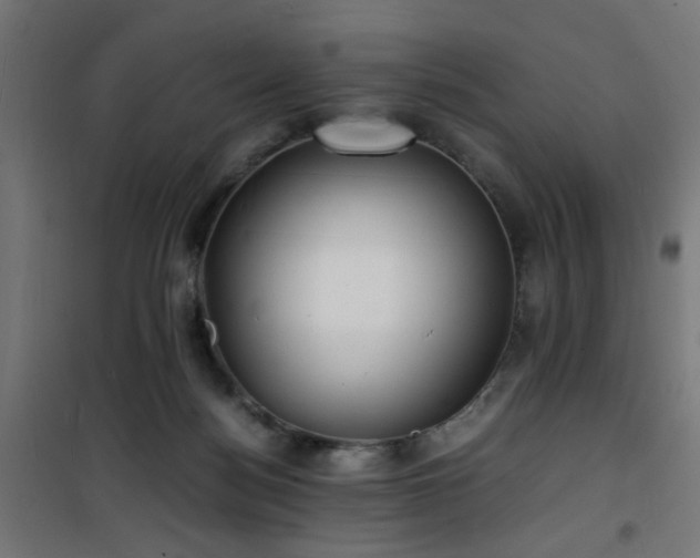 X0000101480172200807141423