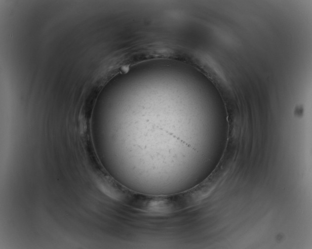 X0000101480173200807141423