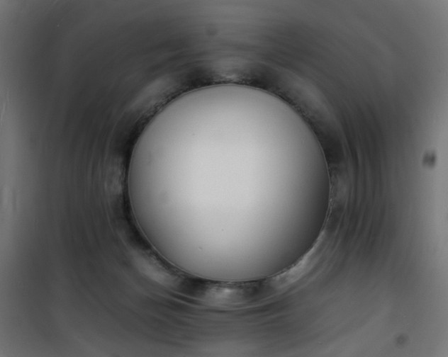 X0000101480174200807141423